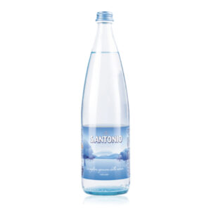 Acqua S. Antonio 1lt